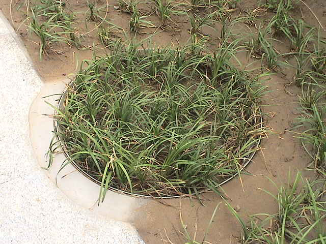 業(yè)特不銹鋼草盆井蓋案例圖2