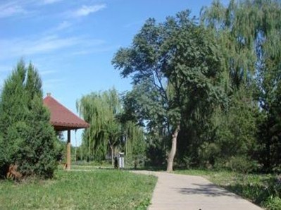 郊野公園排水溝